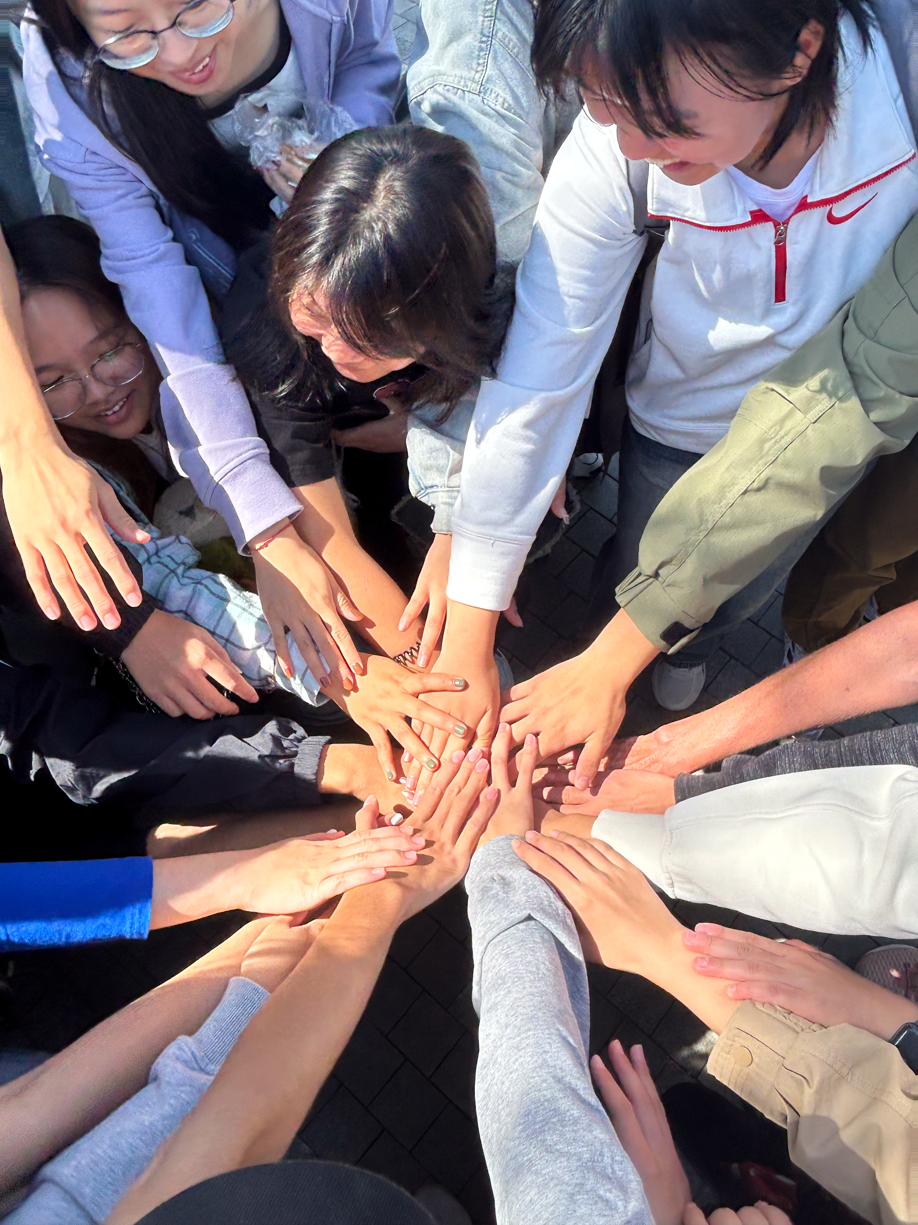 group of hands