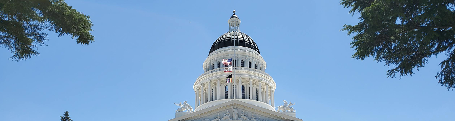 Sacramento Scholars Internship Program